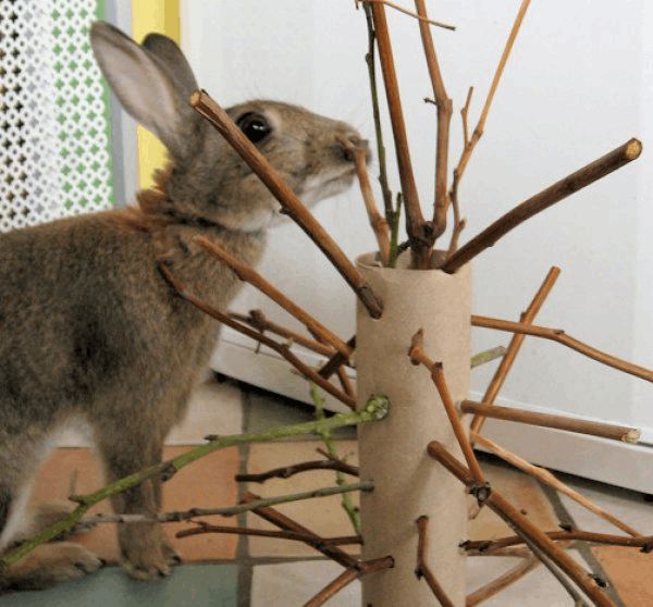 Кролик и веточки