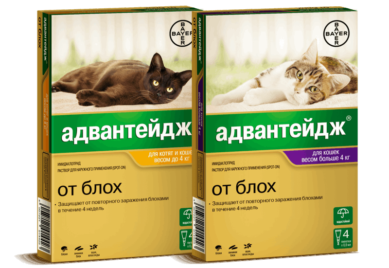Капли Адвантейдж для кошек