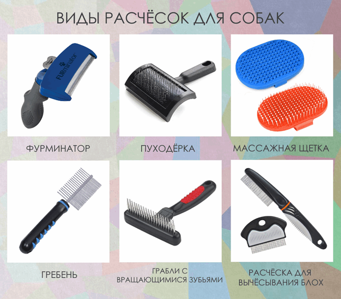 ВИДЫ РАСЧЕСОК ДЛЯ СОБАК